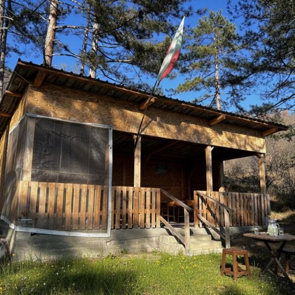 2026-02-07_15-13-34-298