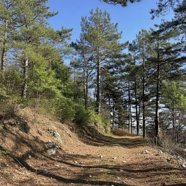 2026-02-07_15-15-28-704