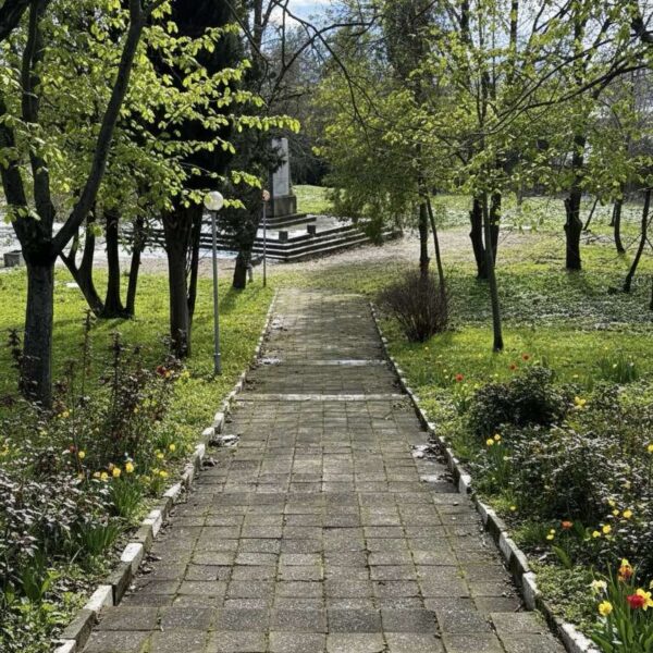 2026-02-07_15-17-51-480