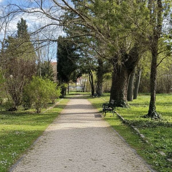 2026-02-07_15-17-52-376