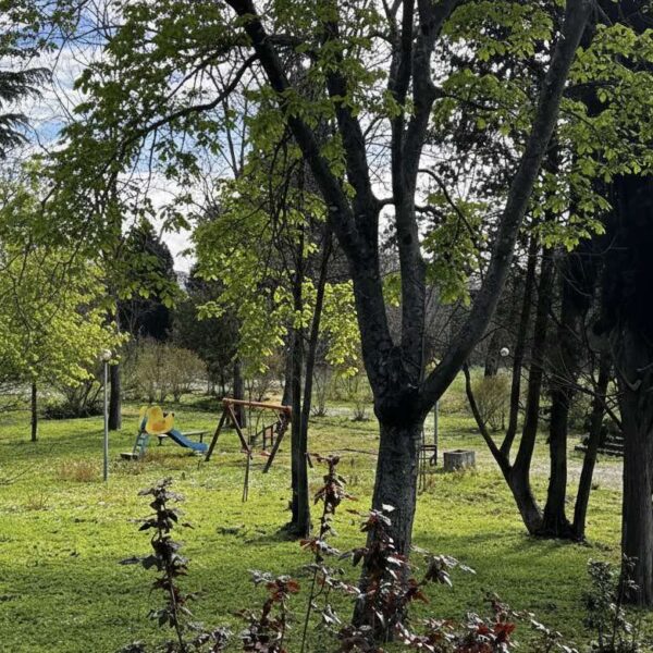 2026-02-07_15-17-52-860