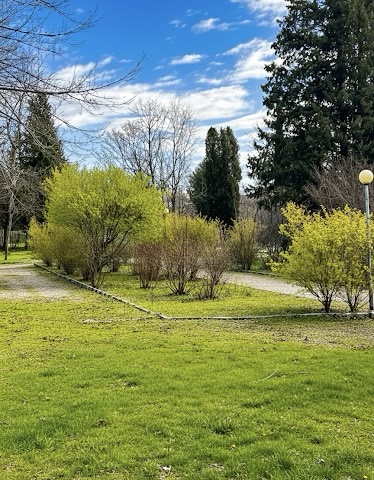 2026-02-07_15-18-24-824