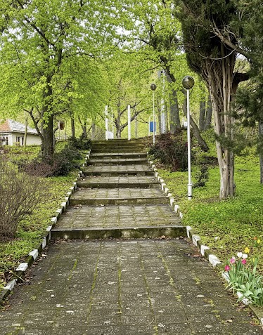 2026-02-07_15-18-26-022